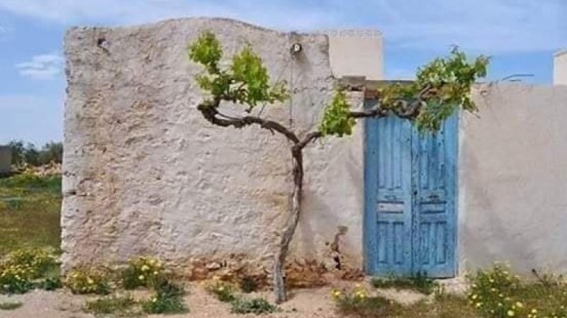 الاعلان عن انطلاق التعداد العام الثالث عشر للسكان والسكنى