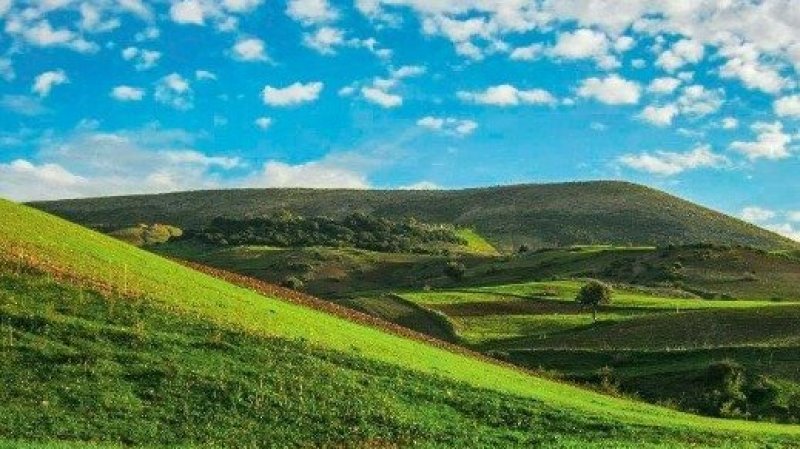 طقس اليوم الاحد : أجواء غائمة وأمطار متفرقة في قطاع غزة و طقس قليل السحب فمغيم جزئيا في تونس
