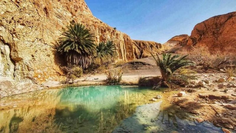 طقس اليوم الجمعة : أجواء صافية في قطاع غزة و سحب كثيفة مع أمطار متفرقة مؤقتا رعدية في تونس