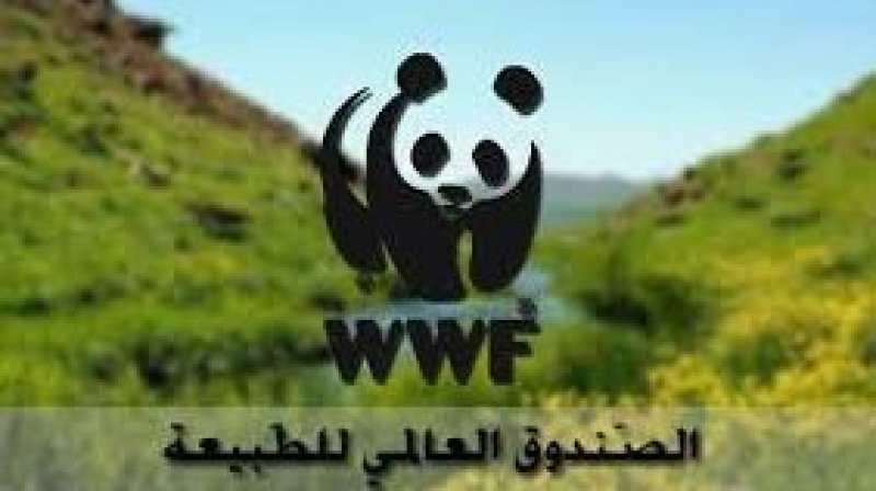 لتمويل "التنوع البيولوجي 2030" : الصندوق العالمي للطبيعة يوقع الاتفاق الاطاري للمشاريع "صديقة البيئة"مع المجلس البنكي