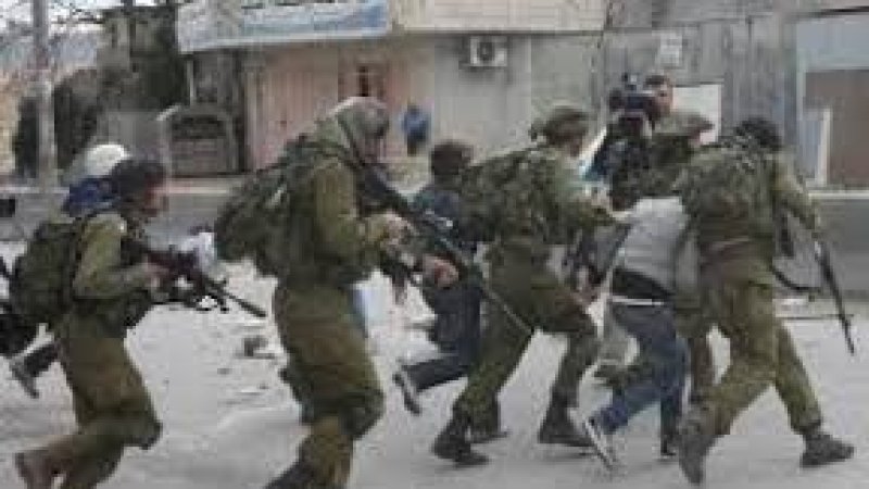 الاحتلال يعتقل أربعة مواطنين فلسطينيين ومستعمرون يسرقون أغناما من الخليل