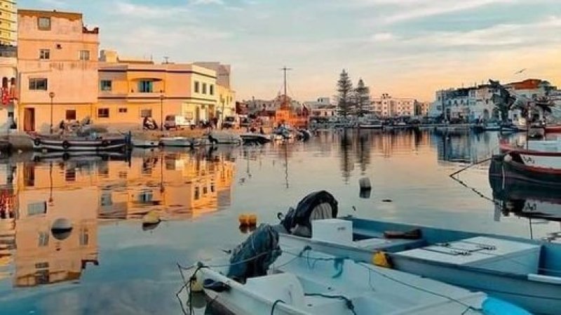 طقس اليوم الإثنين : صاف في قطاع غزة و مغيم جزئيا في تونس