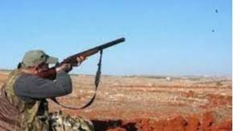 تزامنا مع عيد الجلاء : تعليق ممارسة الصيد البري بأريانة وبنزرت