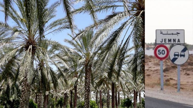 " ثورة مرت من هنا "عنوان كتاب يسلط الضوء على تجارب جمنة وسمامة والهوايدية