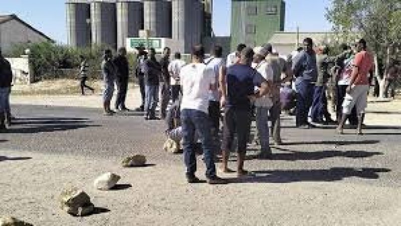 عمال المركب الفلاحي بالعلم يحتجون ويطالبون بأجورهم