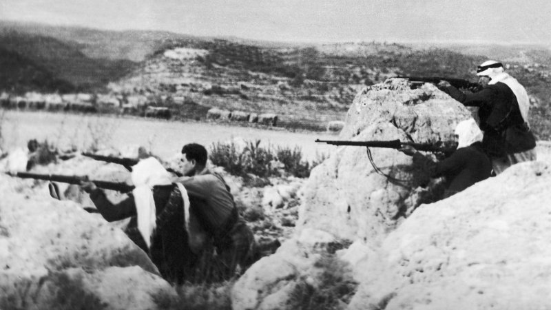في ذكرى التقسيم... التاريخ المخفي في الرواية الرسمية عن النكبة الفلسطينية