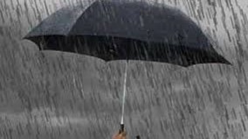 طقس اليوم الأربعاء : أمطار متفرقة و غزيرة في قطاع غزة و تونس