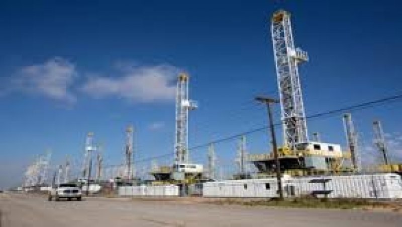 ظروف مهنية غير لائقة في شركة سيربت بحقلي الدولاب و'طم صميدة' بالقصرين