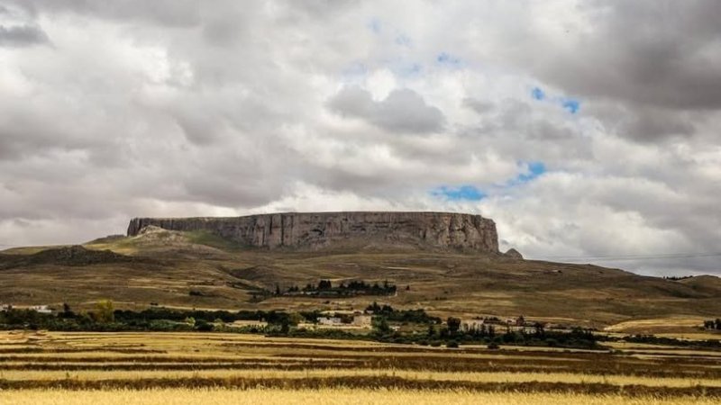 طقس اليوم الجمعة : صاف في قطاع غزة و بعض الأمطار المتفرقة في تونس