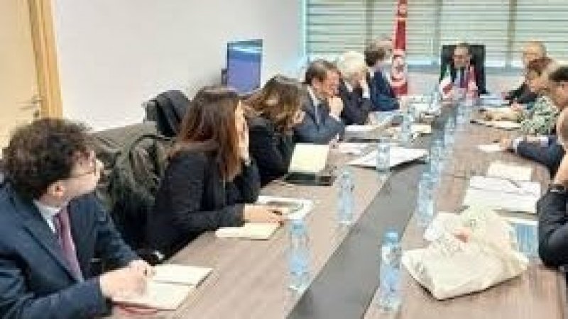 لضمان الأمن الغذائي : دعم ايطالي ضمن مشروع "تانيت" لتحسين آداء القطاع الفلاحي