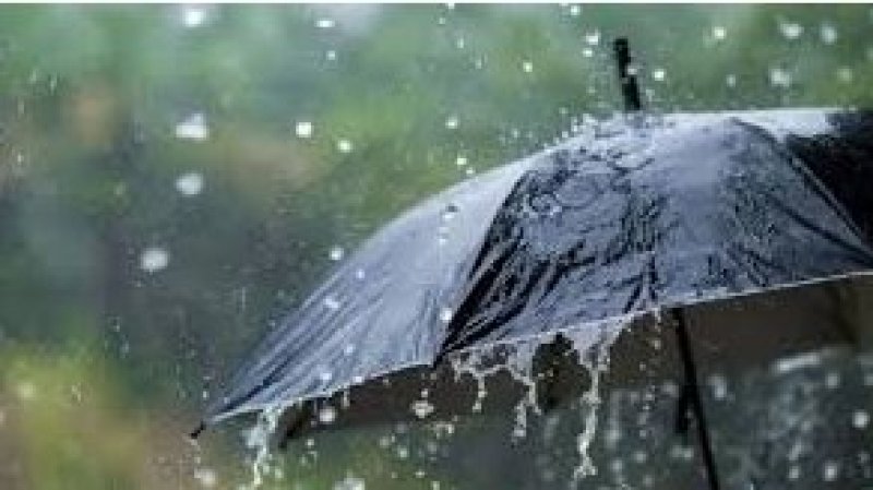 طقس اليوم السبت : أجواء باردة وأمطار متفرقة في قطاع غزة و تونس