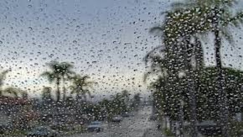 طقس اليوم الأربعاء : غائم في قطاع غزة و أمطار متفرقة في تونس