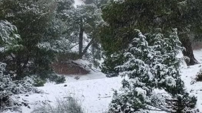 طقس اليوم الإثنين : أجواء باردة نسبيا في قطاع غزة و أمطار غزيرة في تونس