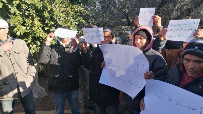 القصرين : عمال المركًب الفلاحي وادي الدرب يدافعون عن قوتهم