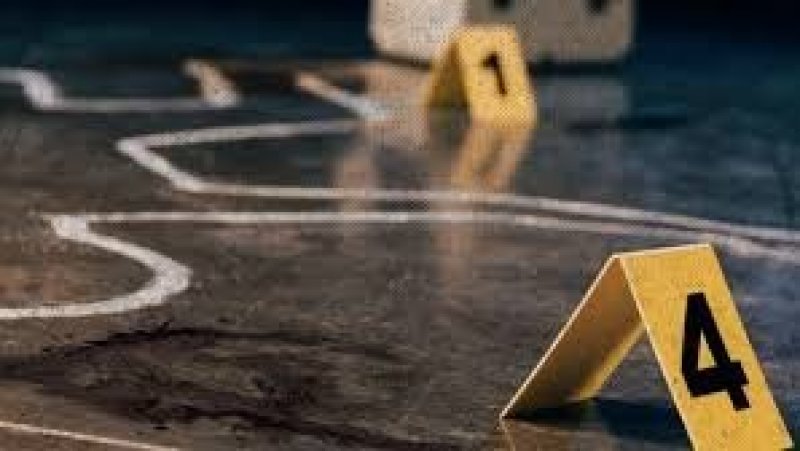 مقتل أم وابنها ذبحا في منطقة الثلايجية من معتمدية زانوش