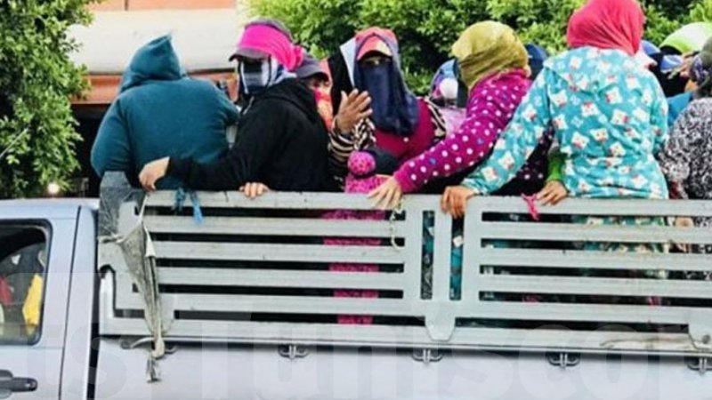 اين الحكمة الكفيلة بحل معضلة النقل العشوائي للعاملات الفلاحيات وضمان الحق في العمل والحياة؟