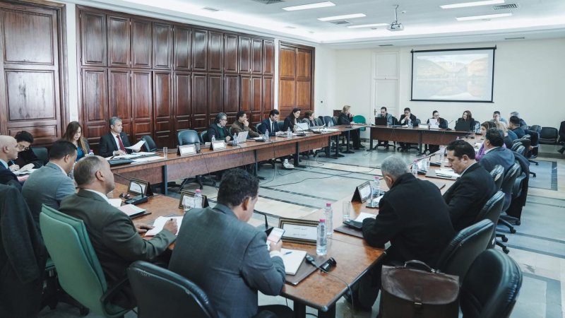 قانون الفنان و المهن الفنية أمام لجنة برلمانية : نحو اقرار صيغة معدلة تأخذ بآراء الفنانين في مختلف التخصصات