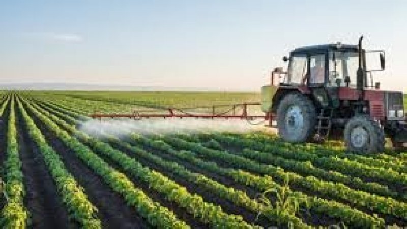 لتحسين المحاصيل ورفع الخصوبة : منظمة الأغذية تطلق هذا المشروع الفلاحي الأفريقي