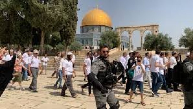 مستعمرون يقتحمون المسجد الأقصى