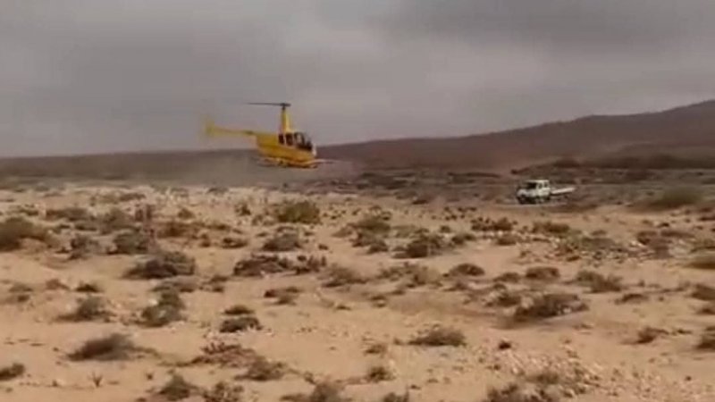 باستخدام الطائرات : تواصل الرش الجوي بالمبيدات لمكافحة الجراد بالجنوب