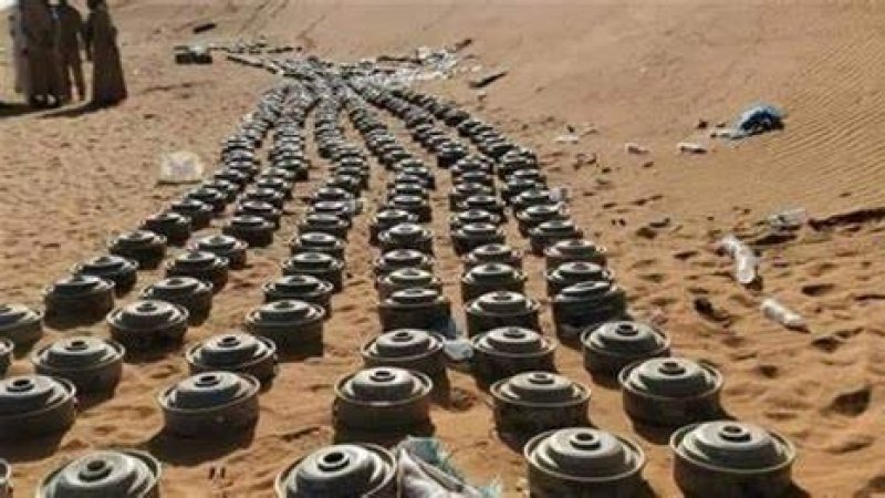 مجلس حقوق الإنسان للأمم المتحدة يصادق على مشروع قرار جزائري حول تأثير الألغام المضادة للأفراد