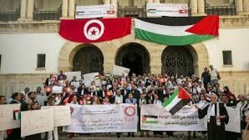 الهيئة الوطنية للمحامين تنظم مسيرة وطنية في تونس العاصمة تنديدًا بـ "جرائم الاحتلال" ودعمًا لفلسطين