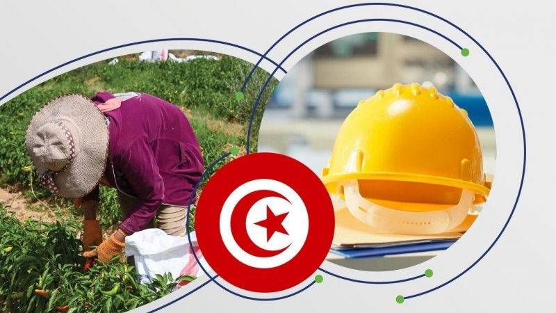 23 عاملا يفوزون بجائزة العامل المثالي و 9 مؤسسات بجائزة التقدم الإجتماعي بعنوان سنة 2024