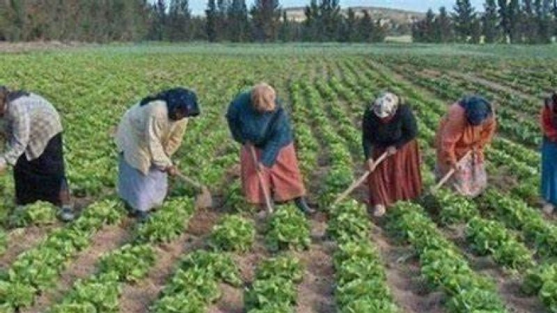 أيام تحسيسيّة وتكوينيّة لفائدة العاملات في القطاع الفلاحي حول الاستعمال الآمن للمبيدات الحشريّة