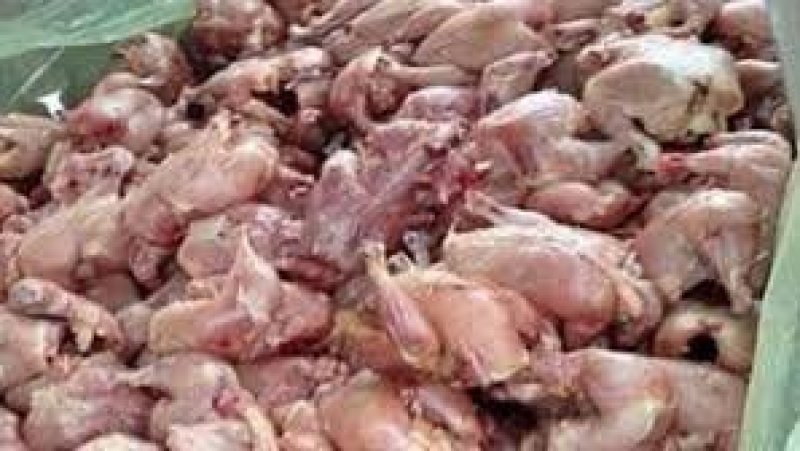 الهيئة الوطنية للسلامة الصحية تحجز حوالي طُنّ من الدجاج غير الصالح للاستهلاك