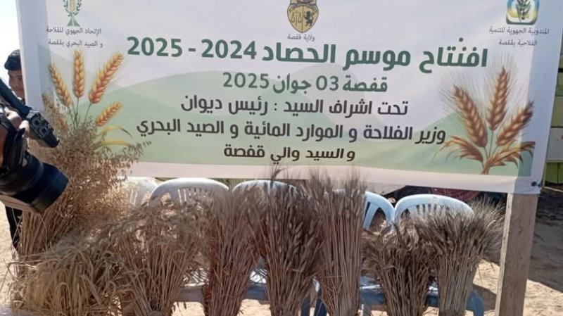 موسم الحصاد بقفصة : توفير طاقات خزن اضافية وفضاءات جديدة لتجميع الحبوب
