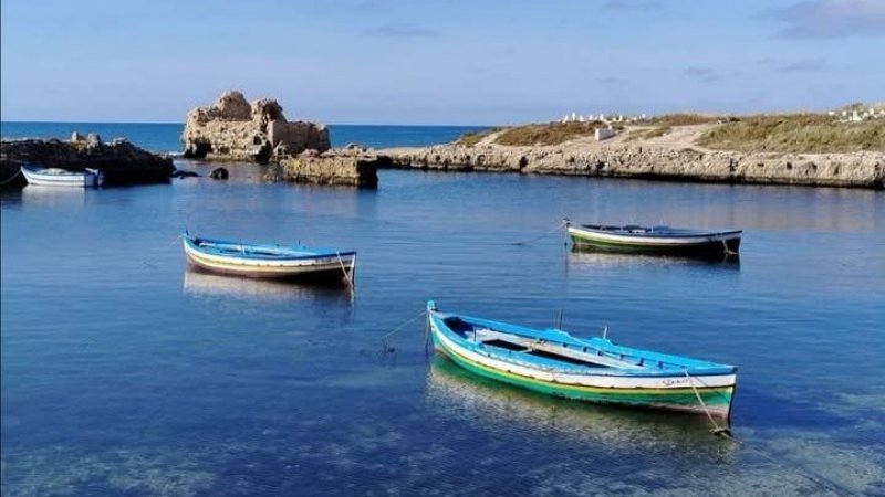 طقس اليوم السبت : صاف في قطاع غزة و بعض الامطار الضعيفة في تونس