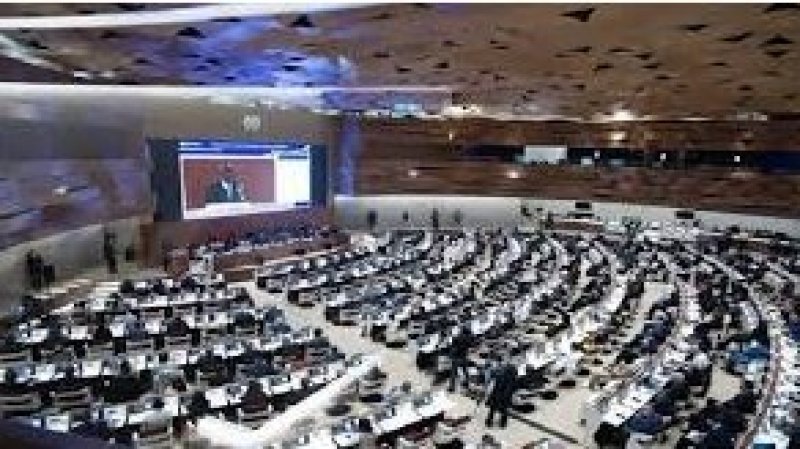 تصويت كبير لصالح الميزانية وبرنامج منظمة العمل الدولية في الدورة 113