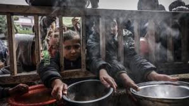 تحذير أممي : النقص الحاد في الغذاء بقطاع غزة قد يصل إلى أعلى مستوياته في سبتمبر المقبل