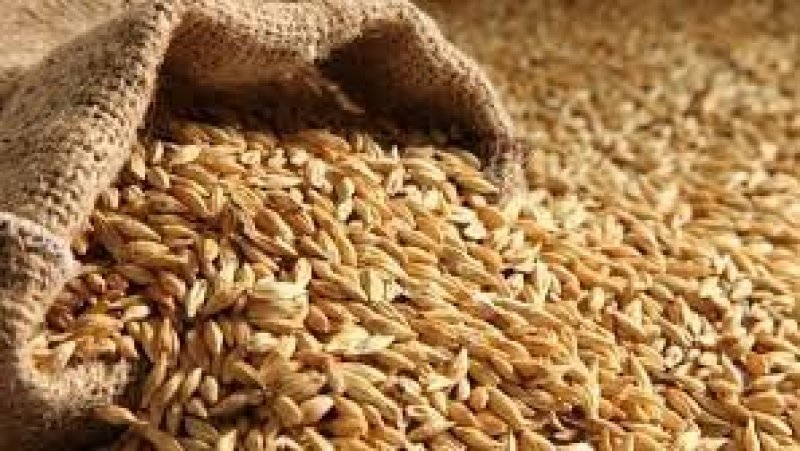 تجميع 5.75 مليون قنطار من الحبوب