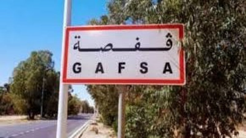 أزمة المياه تهدد الفلاحين في منطقة الحميلة من ولاية قفصة