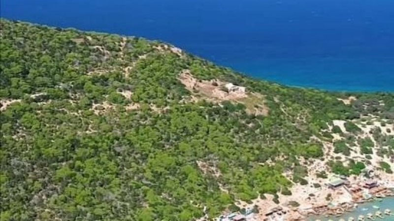 طقس اليوم الجمعة : مغيم جزئيا في قطاع غزة و صاف في تونس