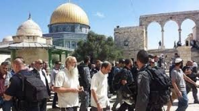 166 مستعمرا يقتحمون المسجد الأقصى