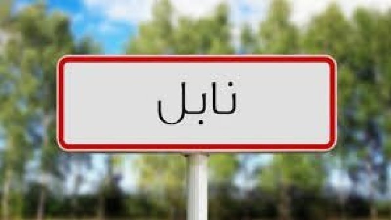 نابل : متابعة الوضع البيئي بالجهة وبحث سبل رفع الاخلالات البيئية بمختلف البلديات