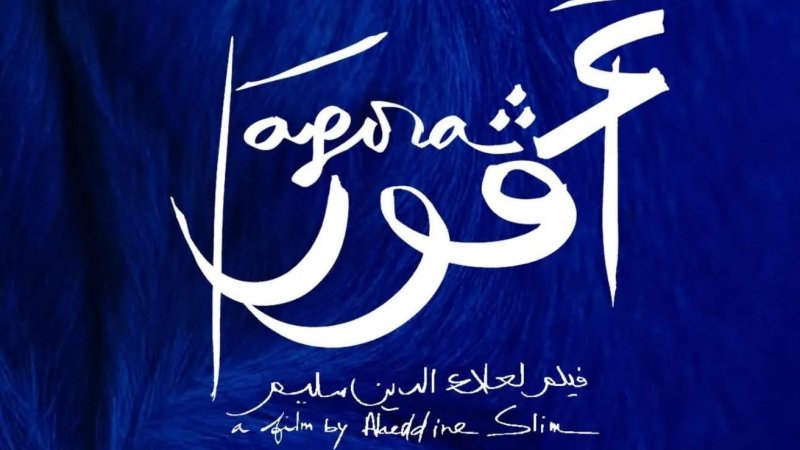 يخرج أفلامه ويمضي دون ضجيج : قراءات نقدية في كواليس أفلام علاء الدين سليم
