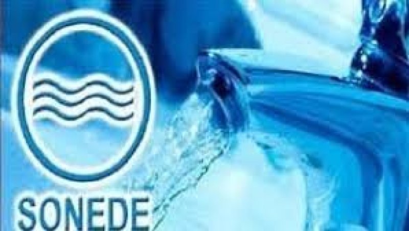 حدائق المنزه 1: "الصوناد" تُدين اعتداء مواطن على أعوانها أثناء إصلاح عطب بكسر مضخة المياه