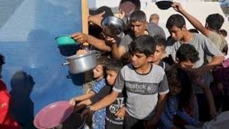 10 وفيات نتيجة المجاعة وسوء التغذية خلال الـ24 ساعة الماضية