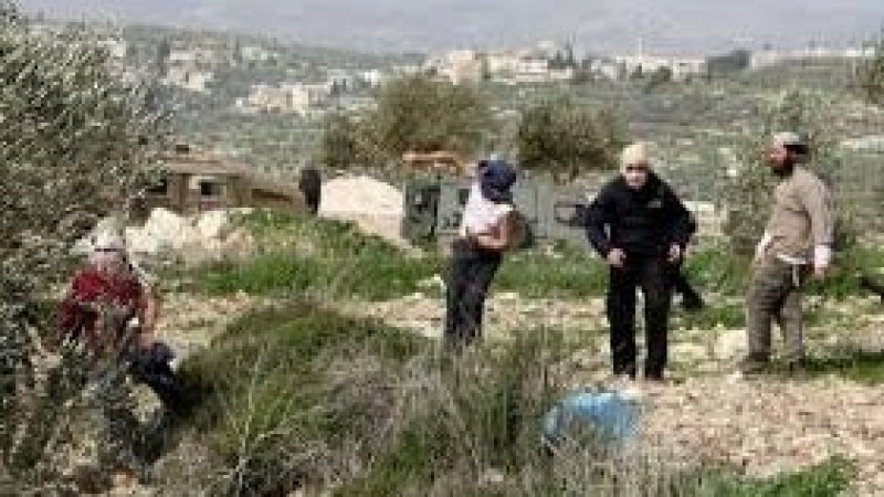 مستعمرون يقتحمون قرى وبلدات شمال محافظة رام الله والبيرة