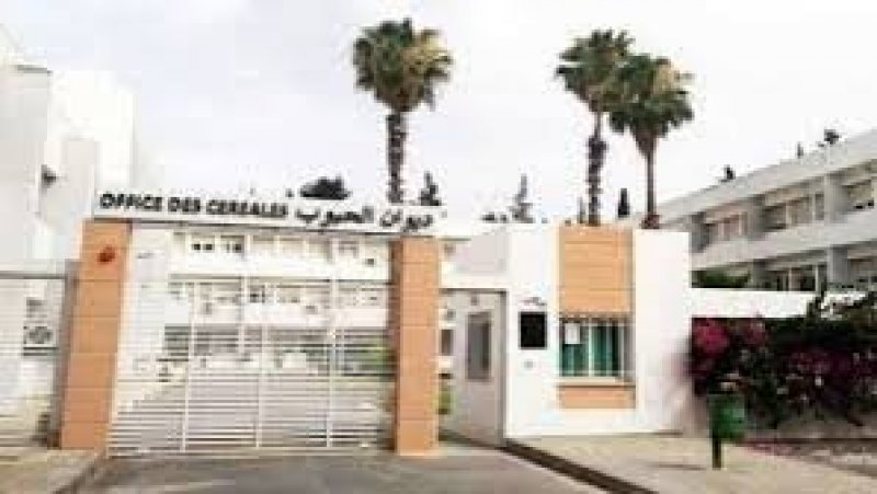 لهذه الأسباب تقرر الاضراب عن العمل بديوان الحبوب بسوسة