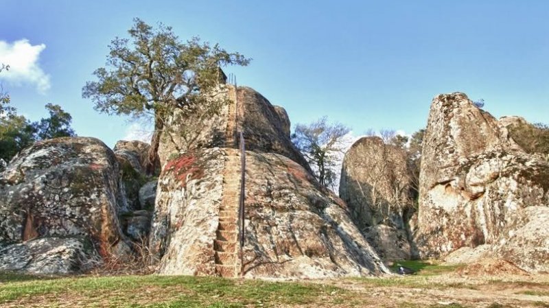 طقس اليوم الجمعة : أمطار غزيرة في قطاع غزة و طقس مغيم جزئيا في تونس