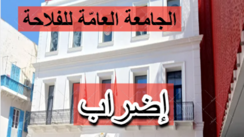 نقابات ديوان الحبوب تهدد بإضراب عام