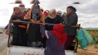 بنزرت.. اتحاد الشغل يندد بمواصلة الاستهتار بارواح عاملات الفلاحة