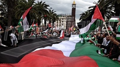تصعيد إسرائيلي بالاراضي الفلسطينية ..تونس تدعو مجلس الامن لعقد جلسة طارئة