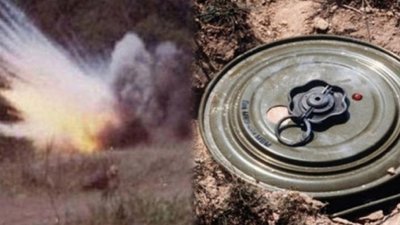 انفجار لغم في جبل مغيلة.. الارهابيون فخخوا جبال تونس والرعاة والحطابين دفعوا الثمن