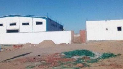 هل للوبيات العلف علاقة بما يحصل؟ .."الستاغ " تعطل مشروع ضخم لانتاج العلف المركب بقفصة
