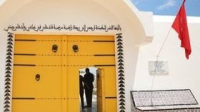 شجرة السلام في حديقة افريقيا بجرجيس